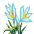 Visit my Crocus in Flowergame!