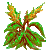 Visit my Sorrel in Flowergame!