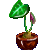 Visit my Cyclamen in Flowergame!