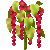 Visit my Love-lies-bleeding in Flowergame!