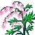 Visit my Bleeding Heart in Flowergame!
