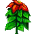 Visit my Poinsettia in Flowergame!