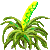 Visit my Tillandsia in Flowergame!