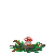 Visit my Fly agaric in Flowergame!