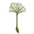 Visit my Dandelion in Flowergame!