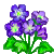 Besuche meinen Leberblümchen in Flowergame!