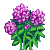 Visit my Dahlia in Flowergame!