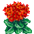 Besuche meinen Flammendes Käthchen in Flowergame!