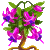 Visit my Fuchsia!