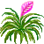 Besuche meinen Tillandsia in Flowergame!