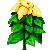 Besuche meinen Weihnachtsstern in Flowergame!