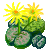 Besuche meinen Lebende Steine in Flowergame!