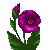 Besuche meinen Lisianthus in Flowergame!