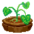 Visit my Zucchini in Flowergame!