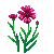 Besuche meinen Kornblume in Flowergame!