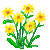 Besuche meinen Ringelblume in Flowergame!