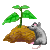 Visit my Fuchsia in Flowergame!
