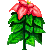Besuche meinen Weihnachtsstern in Flowergame!