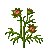 Besuche meinen Garten-Kosmee in Flowergame!
