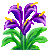 Besuche meinen Zimmercalla in Flowergame!