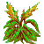 Besuche meinen Sauerampfer in Flowergame!