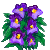 Besuche meinen Garten-Stiefmütterchen in Flowergame!