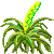 Besuche meinen Tillandsia in Flowergame!