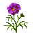 1140737.png