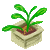 Visit my Marigold in Flowergame!