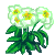 Besuche meinen Schneerose in Flowergame!