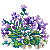 Besuche meinen Glockenblumen in Flowergame!