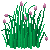 Besuche meinen Schnittlauch in Flowergame!