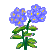 Besuche meinen Flammenblume in Flowergame!