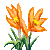 Besuche meinen Krokus in Flowergame!