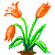 Besuche meinen Tulpe in Flowergame!