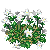 Besuche meinen Glockenblumen in Flowergame!