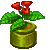 Besuche meinen Weihnachtsstern in Flowergame!