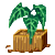 Visit my Kris plant in Flowergame!