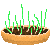 Visit my Chives in Flowergame!