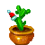 Visit my Christmas cactus in Flowergame!