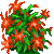 Visit my Christmas cactus in Flowergame!