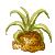Visit my Tillandsia in Flowergame!