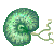 Visit my fern!
