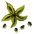Visit my Christmas rose in Flowergame!