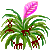 Visit my Tillandsia in Flowergame!