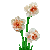 1159388.png