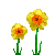 1160017.png